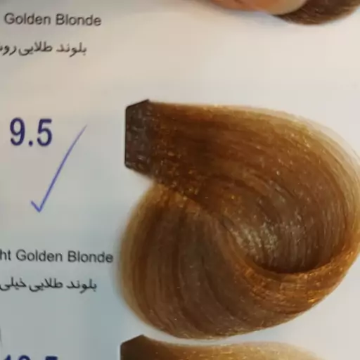 2gafQt702bhAwu0lqKVQhbacc9N5fYjRFrKCPwE4ci0GMky0XT.jpg_512X512X70.jpg