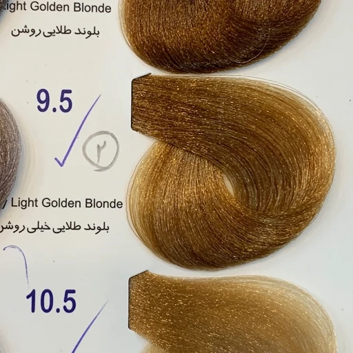 k8G58R562j2Kgc6eGw2skjP7iGIUMmOsszqqNJwx530SJGr6ud.jpg_512X512X70.jpg
